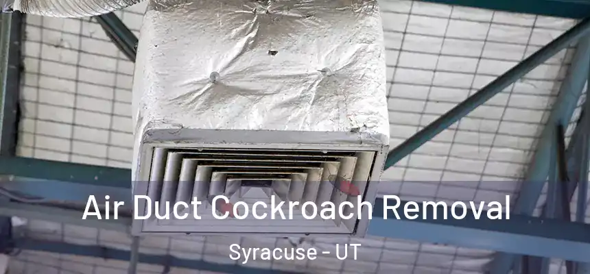 Air Duct Cockroach Removal Syracuse - UT