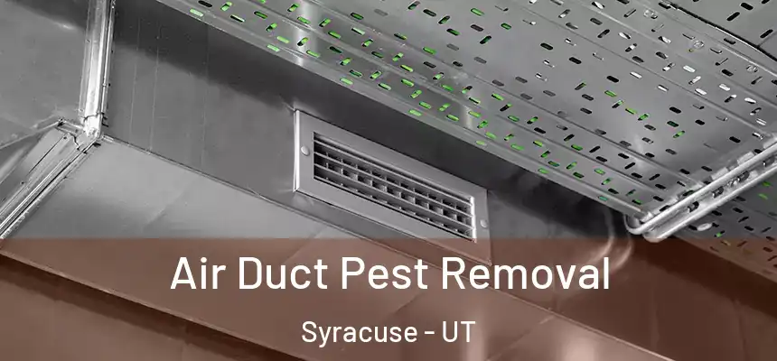 Air Duct Pest Removal Syracuse - UT