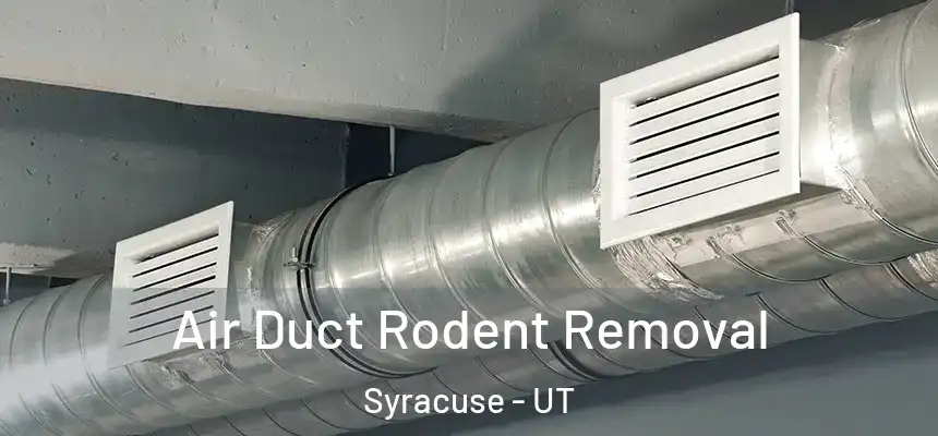  Air Duct Rodent Removal Syracuse - UT
