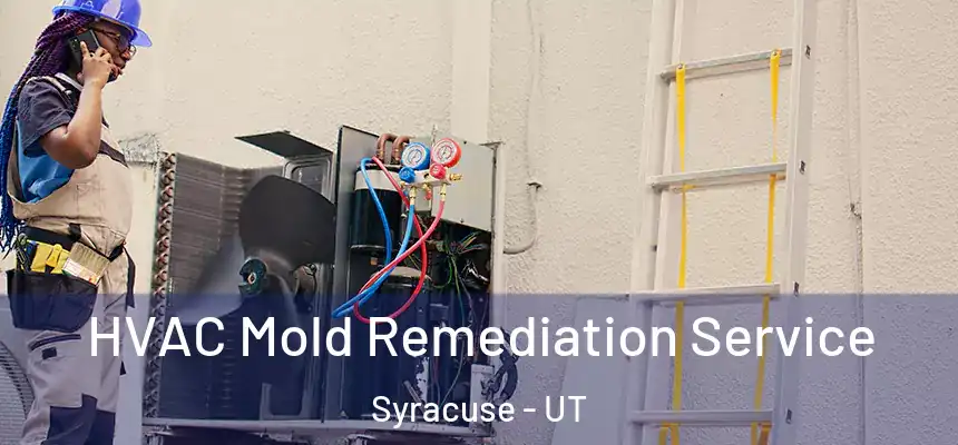 HVAC Mold Remediation Service Syracuse - UT