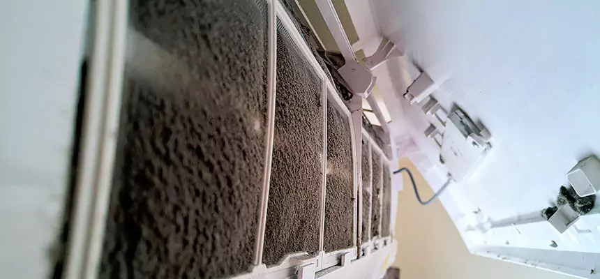 Preventive Air Duct Bacteria Removal in Syracuse