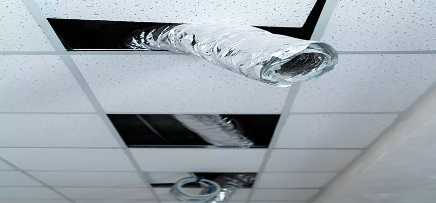 Our Air Duct Pet Hair Removal Services in Syracuse, UT