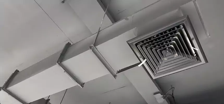 Our Rodent Droppings In Vents Services in Syracuse, UT