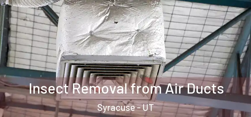 Insect Removal from Air Ducts Syracuse - UT