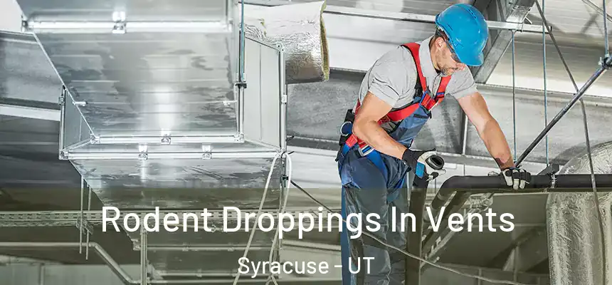  Rodent Droppings In Vents Syracuse - UT