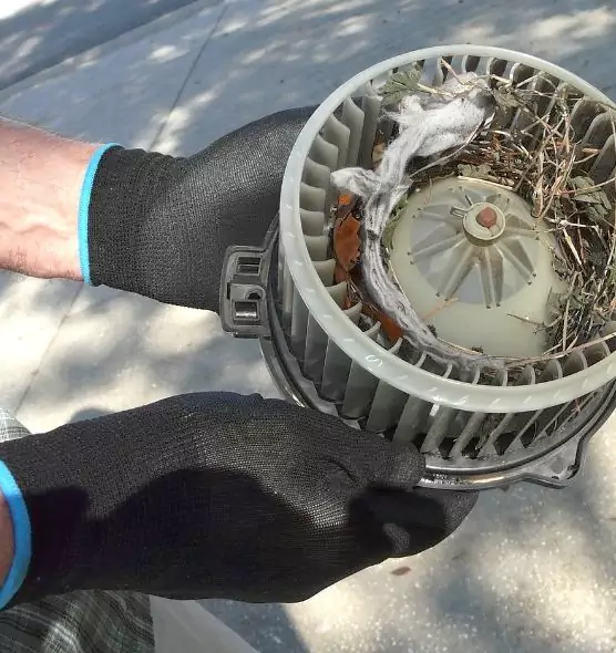 About Air Duct Mice Removal in Syracuse, UT